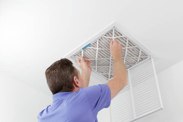 Air Duct Mold Removal in ID